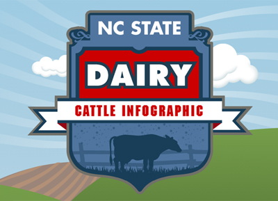 NCSU ANS231 Dairy Cattle Infographic